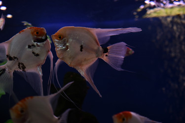 Similar image 21142965