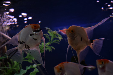 Similar image 21142966