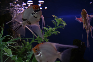 Similar image 21142967