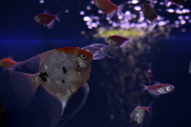 Similar image 21142968