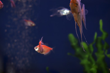 Similar image 21142969