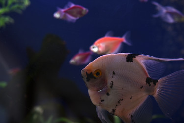 Similar image 21142970