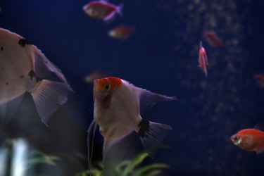 Similar image 21142972