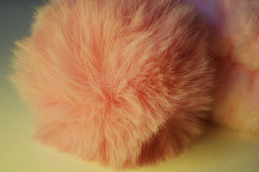 Similar image 21142839