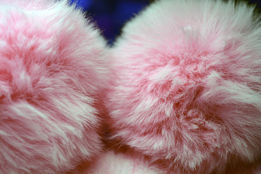 Similar image 21142840