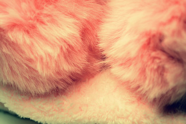 Similar image 21142841