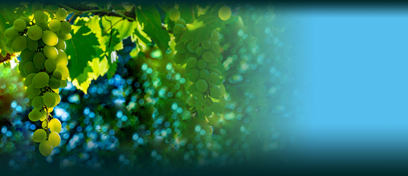 Similar image 21146587