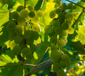 Similar image 21146595