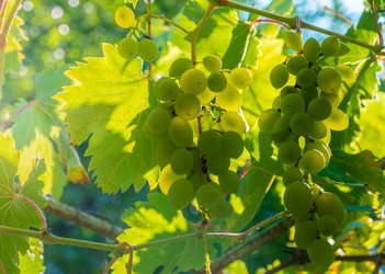 Similar image 21146599