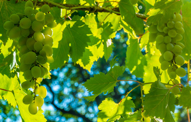 Similar image 21146601