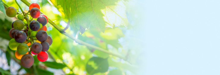 Similar image 21146603