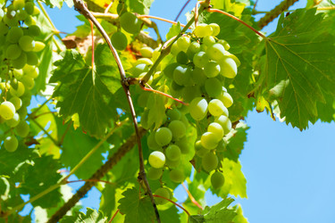 Similar image 21146615