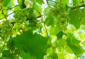 Similar image 21146617