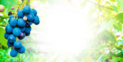 Similar image 21146619