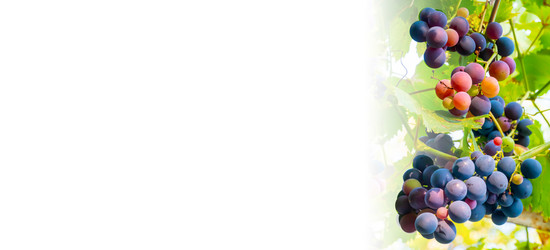 Similar image 21146621