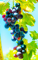 Similar image 21146622