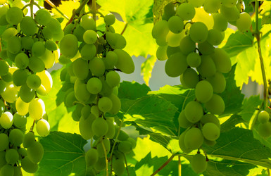 Similar image 21146623