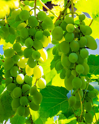 Similar image 21146626