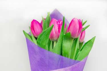 Similar image 21166248