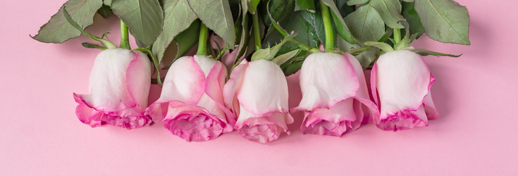 Similar image 21166266