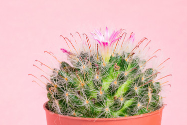 Similar image 21166281