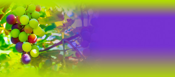 Similar image 21146631