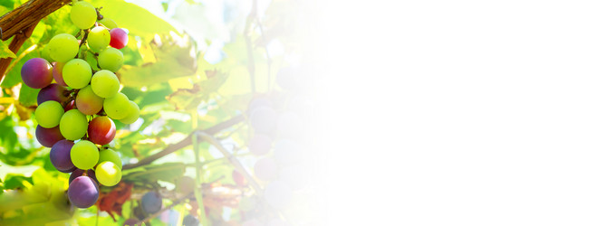 Similar image 21146632