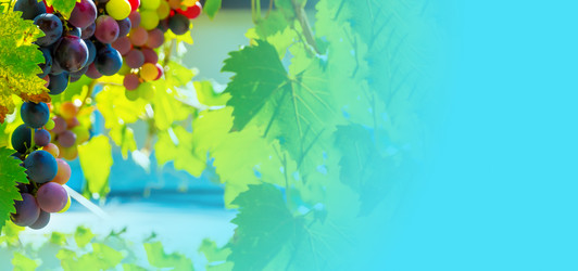 Similar image 21146635