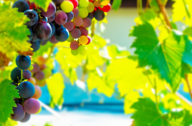 Similar image 21146983