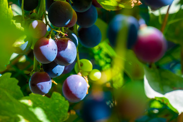 Similar image 21146986