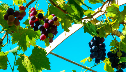 Similar image 21146991