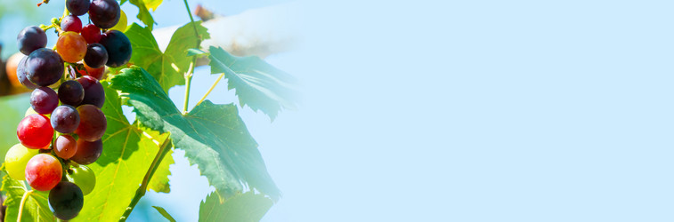 Similar image 21146993