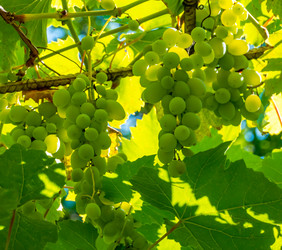 Similar image 21146636