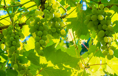 Similar image 21146637