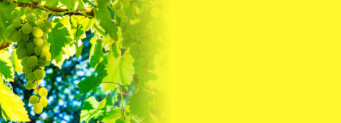 Similar image 21146645