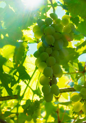 Similar image 21146649