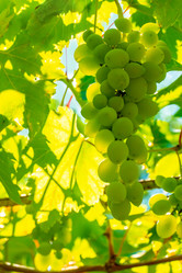 Similar image 21146651