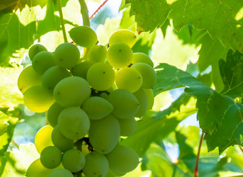 Similar image 21146652