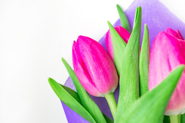 Similar image 21165520