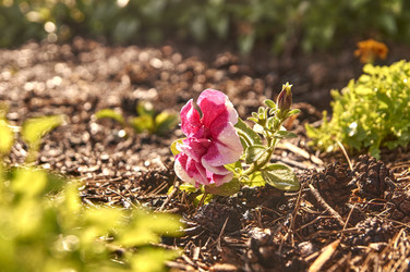 Similar image 21143599