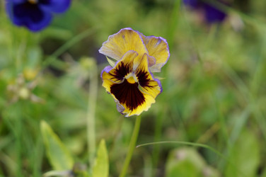 Similar image 21143600