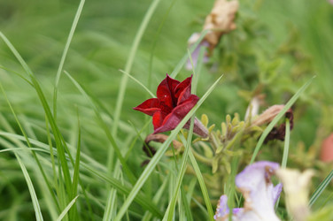 Similar image 21143602