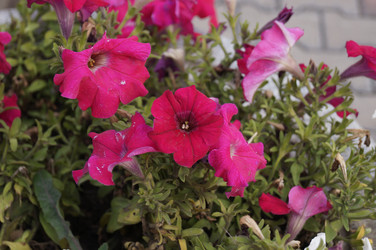 Similar image 21143605