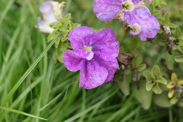 Similar image 21143607