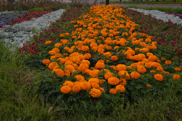 Similar image 21143608