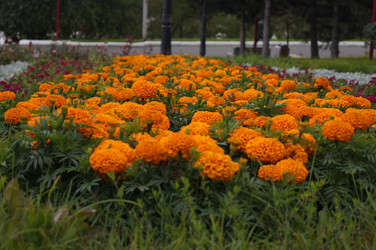 Similar image 21143609