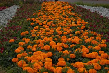 Similar image 21143610