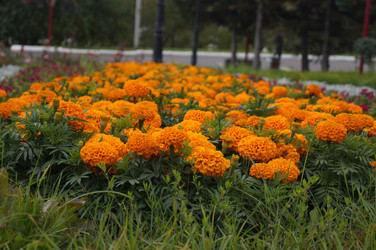 Similar image 21143611