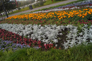 Similar image 21143612