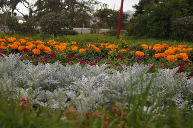 Similar image 21143613